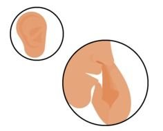 image of whispering in the ear