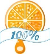 Orange Juice Clip Art N49