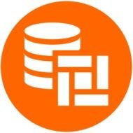 Business Intelligence Icon