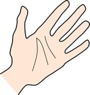 Free Palm Clip Art