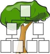 Family Tree Clip Art N69