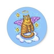 Related Pictures Watches Cat Mom Hugs Baby Kitten 2 Iris And Ear
