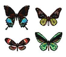 Butterfly Cross Stitch