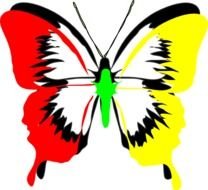 Free Printable Butterfly Clip Art N13