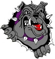 grey angry Bulldog, Logo of Basketball team