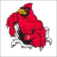 Cardinal Clipart Busting Through Shirt