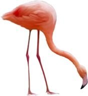 Enviar Por E Mail BlogThis Compartilhar No Twitter N4