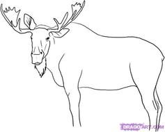 Moose Drawings N2