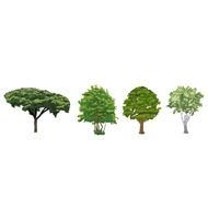 Trees Clip Art drawing