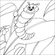 Caterpillar And Butterfly Coloring Pages