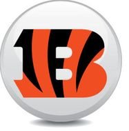 NFL Bengals Owner Still Stung By Early Exits In Playoffs