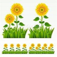 Flowers And Grass Border Clip Art