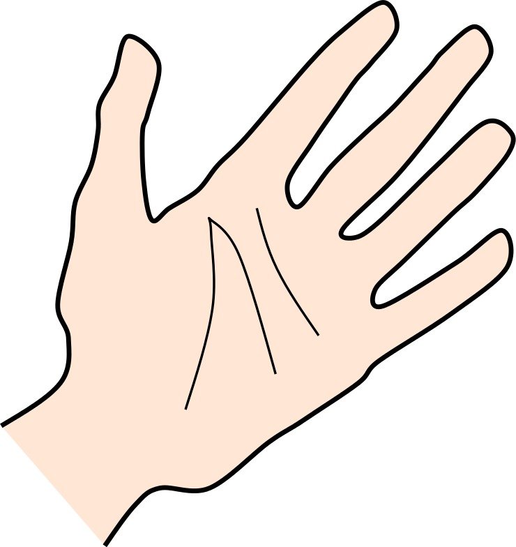 Free Palm Clip Art