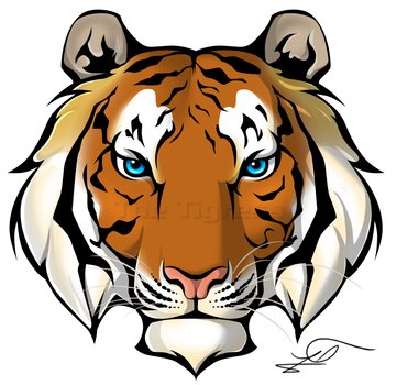 Tiger Face Drawing N2