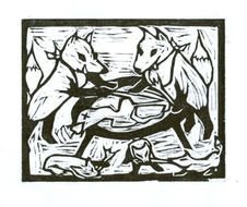 Fox Of Goose drawing