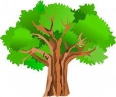 Cartoon Tree Clip Art N45
