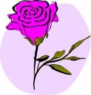 Free Rose Clip Art N17