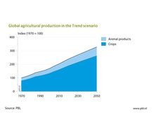 Agricultural Production
