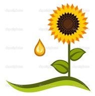Sunflower Vector Free