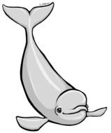 gray beluga as picture for clipart