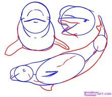 How To Draw Whale Step By