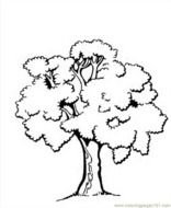 Trees With Leaves Printable Coloring Pages