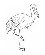 Crane Bird N2