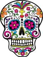 cute color Sugar Skull drawing