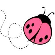 nice Pink Ladybug drawing