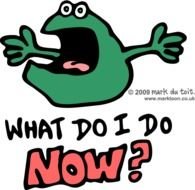 What Do I Now N2