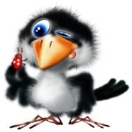 Tropical Bird Clip Art N22