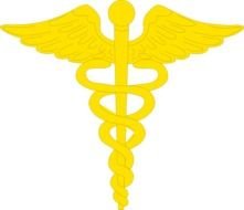Caduceus Medical Symbol Clip Art N29