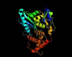 Structure of protein, colorful model in darkness