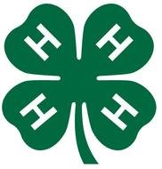 4 H Clover Clip Art N12