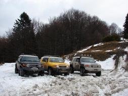 Three colorful cars on the snowy landscape