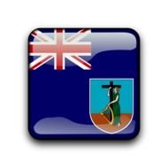 Australian flag and coat of arms on a blue button