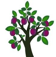 Plum Tree Clip Art drawing