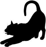 Black Cat as a picture for a clipart