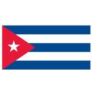 Puerto Rico Flag N23