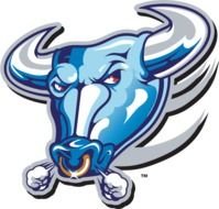 Blue Bull Logo N2