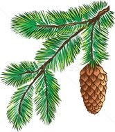 Pine Tree Branch N4