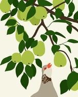 A Partridge In Pear Tree Clip Art N3