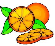 Orange, fruit and Slices, drawing