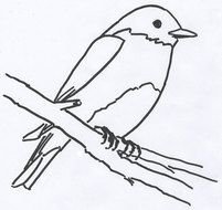 Free Bird Patterns For Painting
