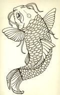 Koi Fish Tattoo Design drawing