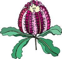 Clip Art raquo Plants