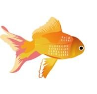 Fish Clip Art N222