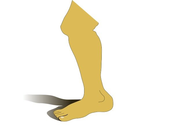 Leg Clip Art N23
