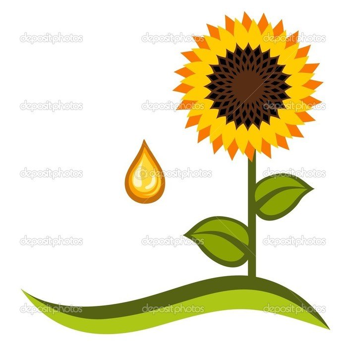Sunflower Vector Free