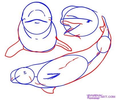 How To Draw Whale Step By